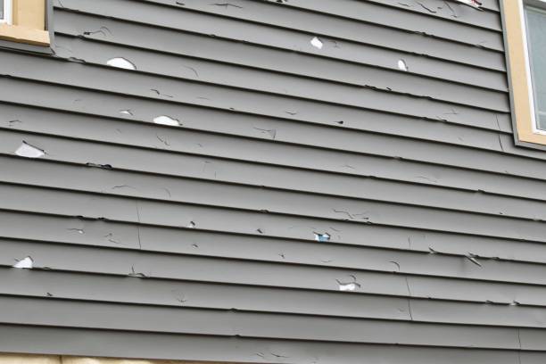 Trusted Ness City, KS Siding Installation & Repair Experts