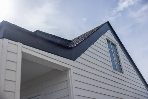 Best Custom Trim and Detailing for Siding  in Ness City, KS